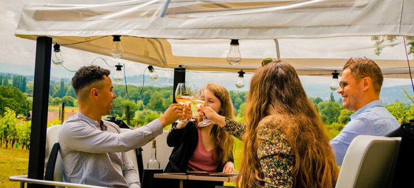 Fondue and Wine Private Tuk Tuk Tour in Geneva