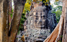 Discova Day Tours and Activities2