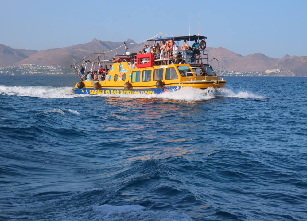 Dory’s Trip: A Glass-bottom Boat Cruise With Swimming Stops