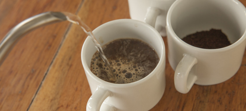 Colombian Coffee Farm Tour and Tasting In Armenia