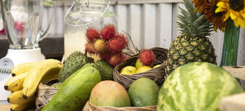 Farm Tour And Puerto Rican Cooking Class In Moca