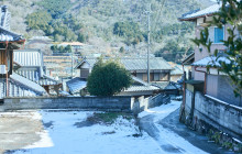Beauty of Japan17