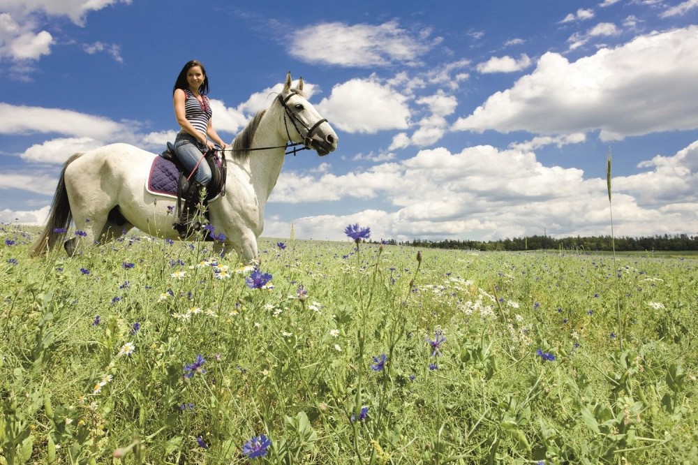 Horseback Riding From Siena