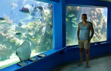 Coral World Ocean Park3