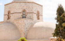 Santorini Golden Tours5