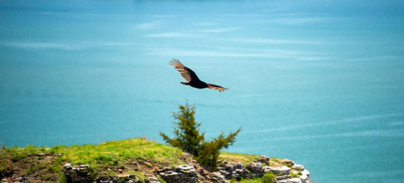 Best of Branson Ozark Discovery Tour