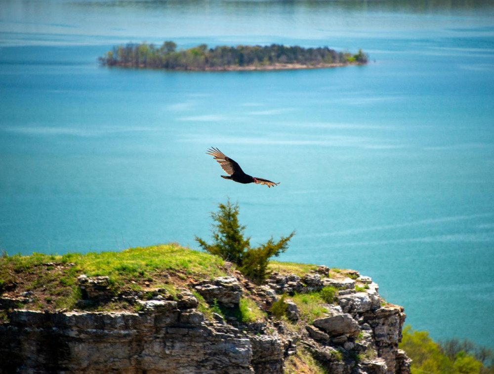 Best of Branson Ozark Discovery Tour