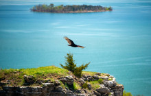 Pink Jeep Tours - Branson5