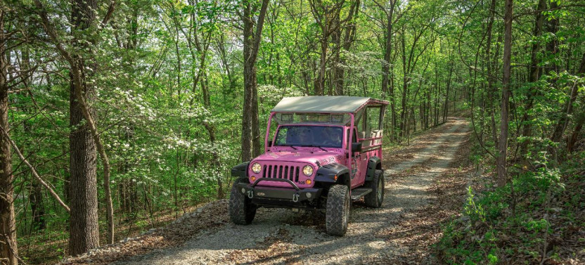 Lakes & Landmarks Sunset Nature Tour of the Ozarks
