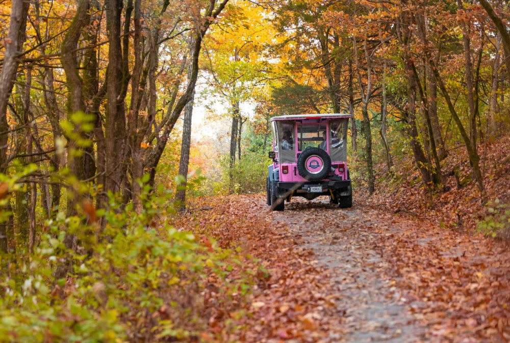 Pink Jeep Tours - Branson
