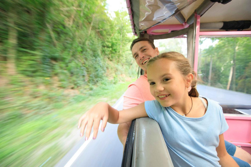 Pink Jeep Tours - Branson