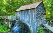 Pink Jeep Tours - Smoky Mountains2