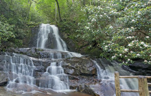 Pink Jeep Tours - Smoky Mountains4
