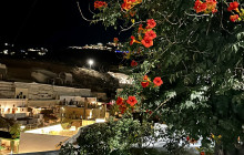 Santorini Golden Tours5