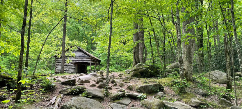 Guided Roaring Fork Adventure Tour