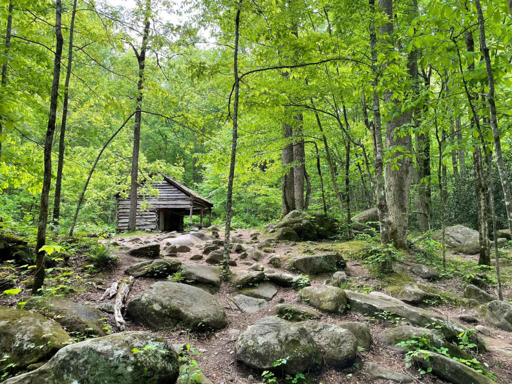 Guided Roaring Fork Adventure Tour
