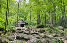 Pink Jeep Tours - Smoky Mountains8