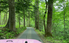 Pink Jeep Tours - Smoky Mountains10