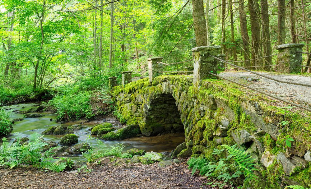 Guided Tour of Historic Elkmont
