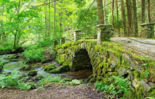 Pink Jeep Tours - Smoky Mountains1