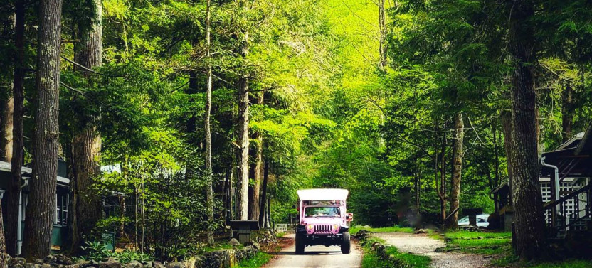Guided Tour of Historic Elkmont