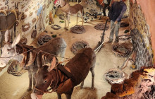 Santorini Golden Tours9