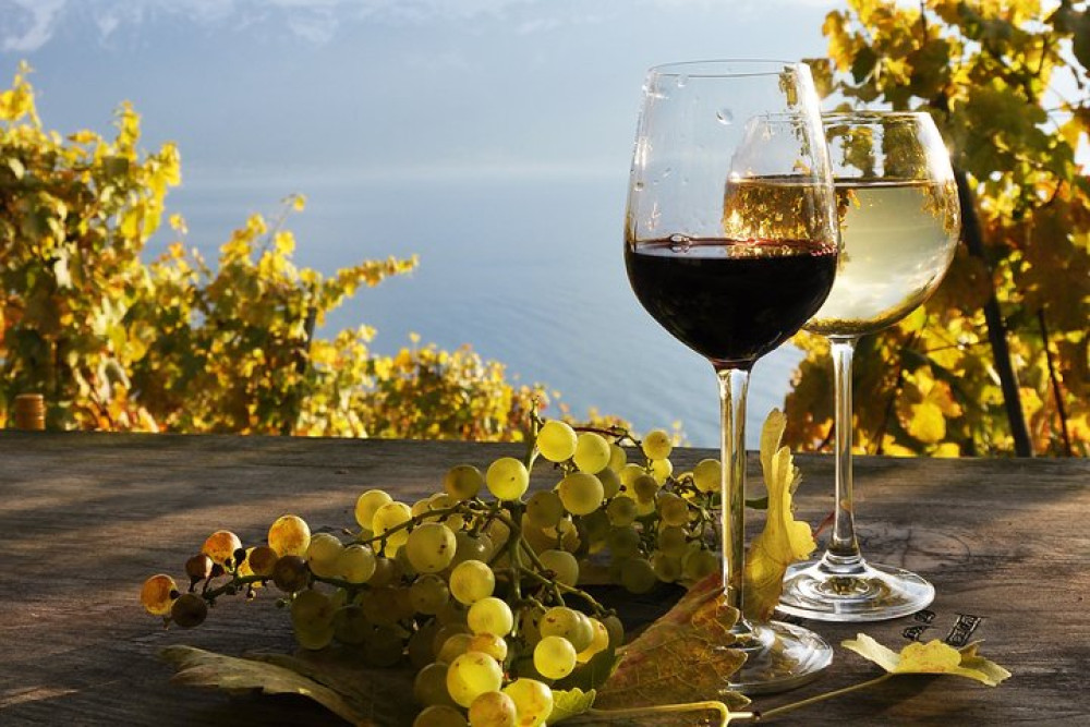 The Private Vine Tour From Lucerne