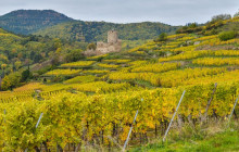 Swiss Epic Tours28