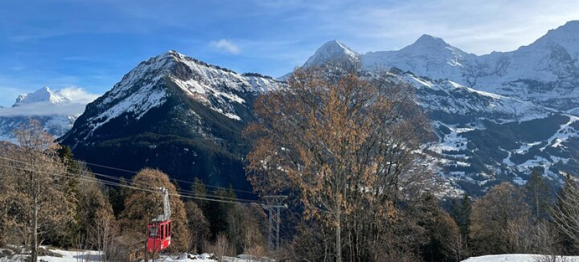 Best of Bernese Oberland and Swiss Countryside Private Tour