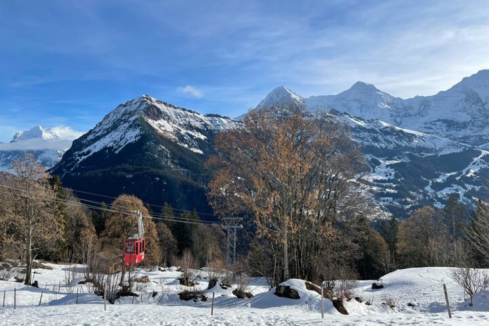 Best of Bernese Oberland and Swiss Countryside Private Tour