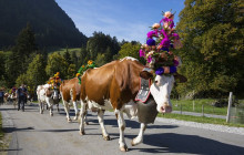 Swiss Epic Tours103