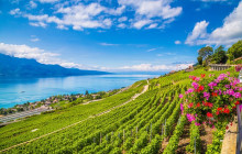 Swiss Epic Tours115