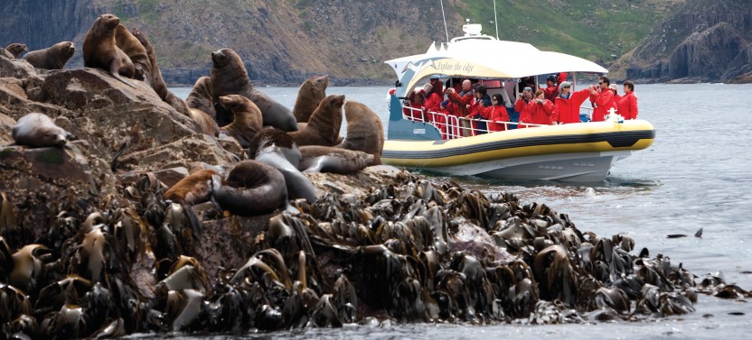Bruny Island Private Day Tour