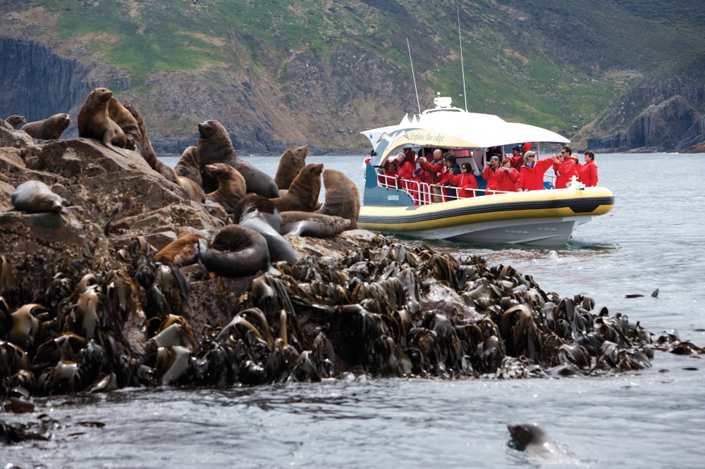 Bruny Island & the Huon Valley Private Day Tour