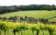 Localing Private Experiences1