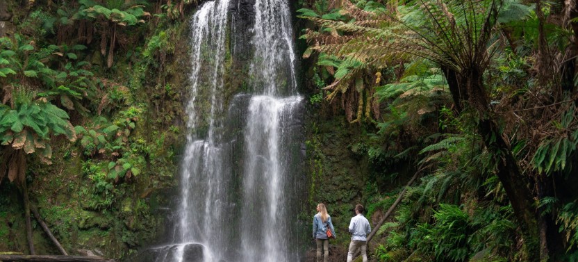 Great Ocean Road Experience – Private Day Tour