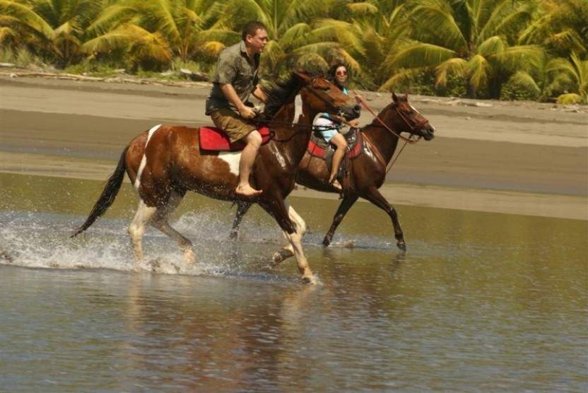 Horseback Riding