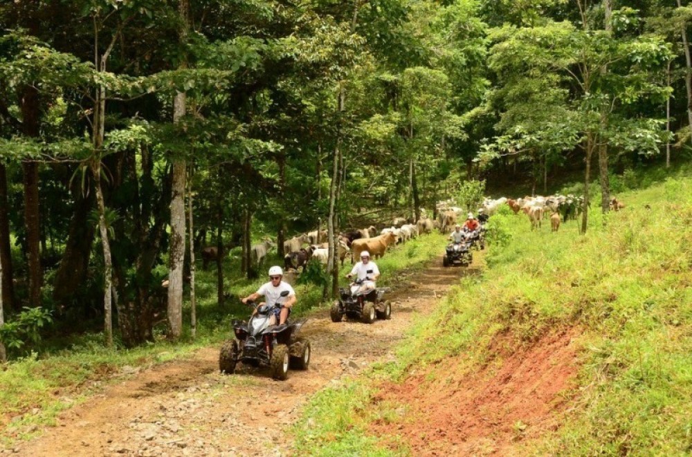 Vista Los Suenos Rainforest Tours