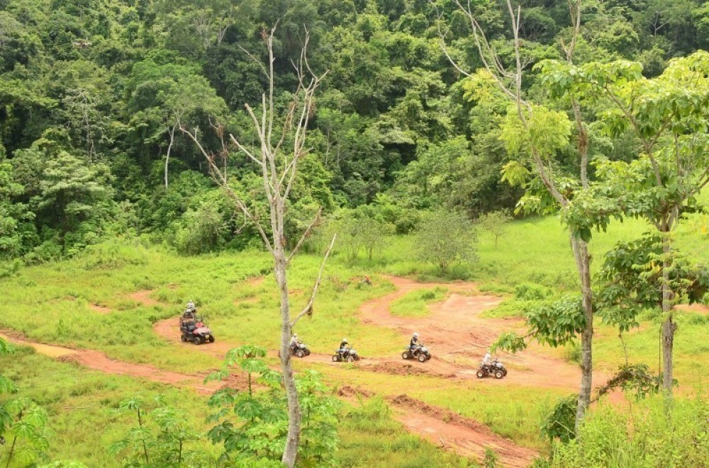 Vista Los Suenos Rainforest Tours