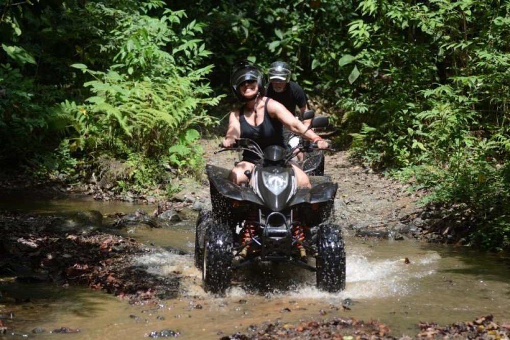 Vista Los Suenos Rainforest Tours