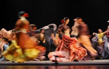 Flamenco Show In Granada