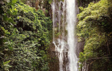 Hana Tours of Maui1