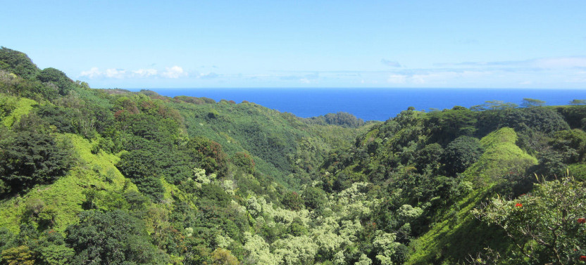 Deluxe Hana Tour