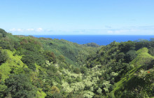 Hana Tours of Maui3