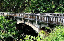 Hana Tours of Maui5
