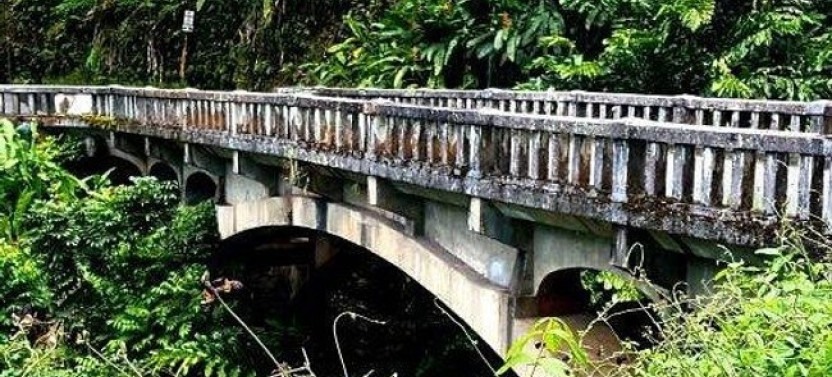Private Halfway to Hana Tour
