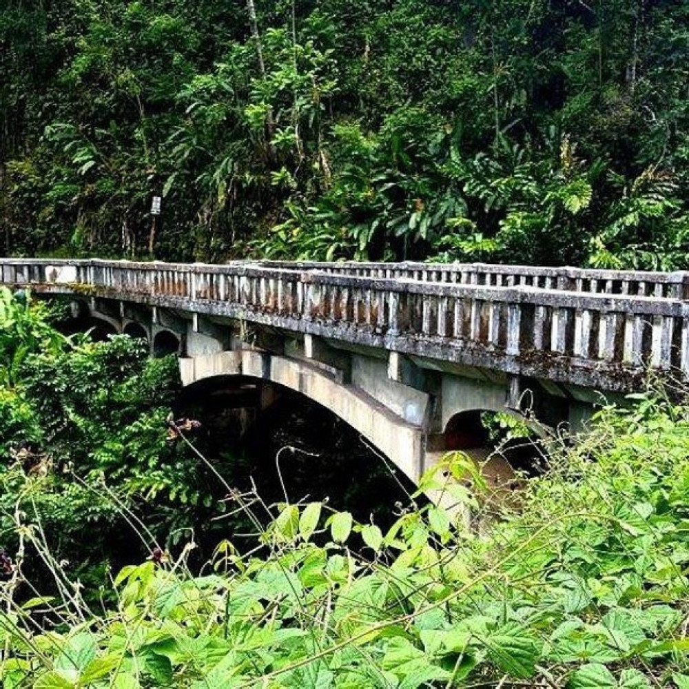 Hana Tours of Maui