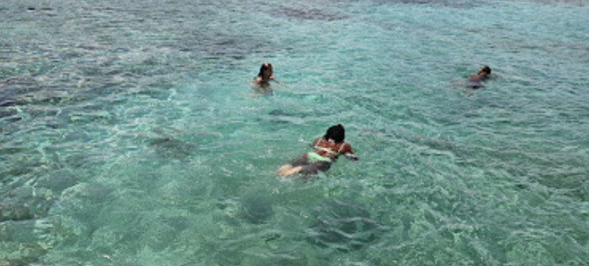 Full Day Beaches, Villages and Monte Verde, São Vicente