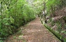 Madeira Natural Park