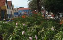 Green Line Tours10